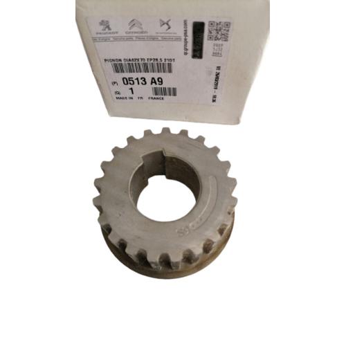 ENGRANAJE CIGÜEÑAL PEUGEOT CITROEN 2.0HDI DW8 21 DIENTES CHAVETA GRUESA  EXPOYER