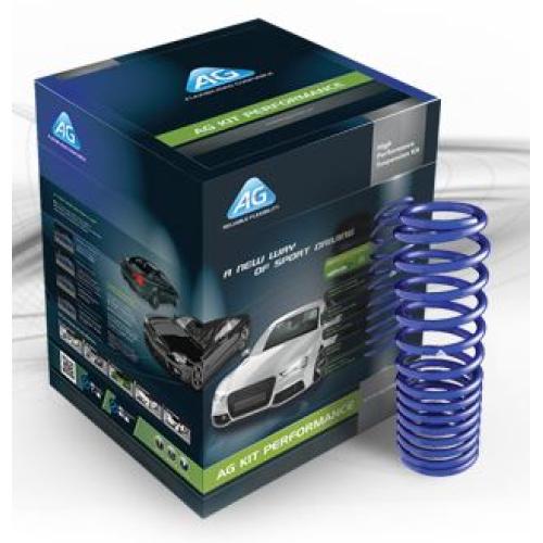 Kit de espirales progresivos delantero para Peugeot 306 y Citroën Xsara